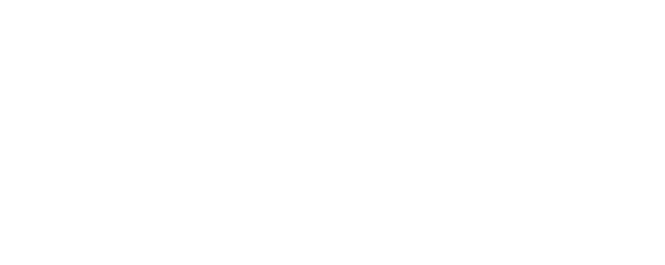 The BND Story