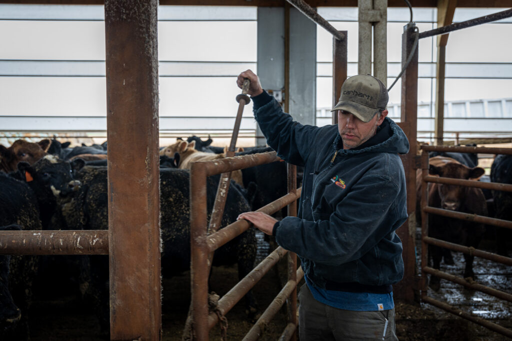 Enger Grain and Livestock